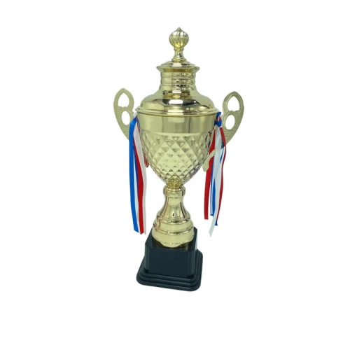 رايك كأس مميز مقاس 40 سم - ذهبي - CUP114