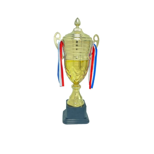 رايك كأس مميز مقاس 50 سم - ذهبي - CUP116