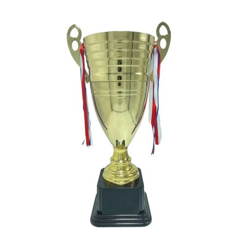 رايك كأس مميز مقاس 50 سم - ذهبي - CUP137