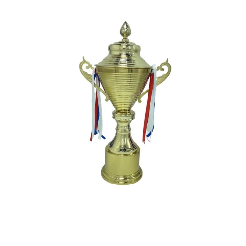 رايك كأس مميز مقاس 50 سم - ذهبي - CUP154