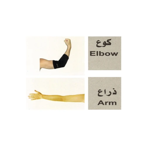 بطاقات تعليمية جسم الإنسان - متعدد الألوان - 17x12x12 سم