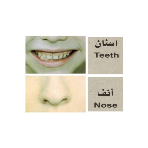 بطاقات تعليمية جسم الإنسان - متعدد الألوان - 17x12x12 سم
