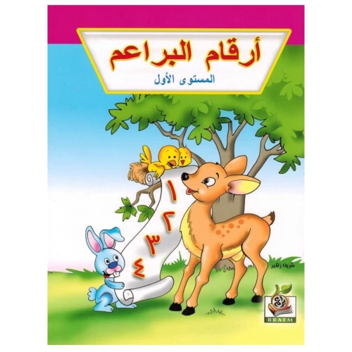 كتاب أرقام البراعم - 29x21x21 سم