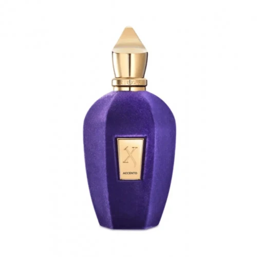 عطر اكسنتو من زيرجوف - او دي بارفيوم 100مل
