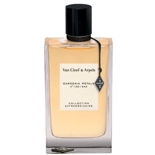 عطر جاردينيا بيتال من فان كليف اند اربلز للنساء - او دي بارفيوم 75مل