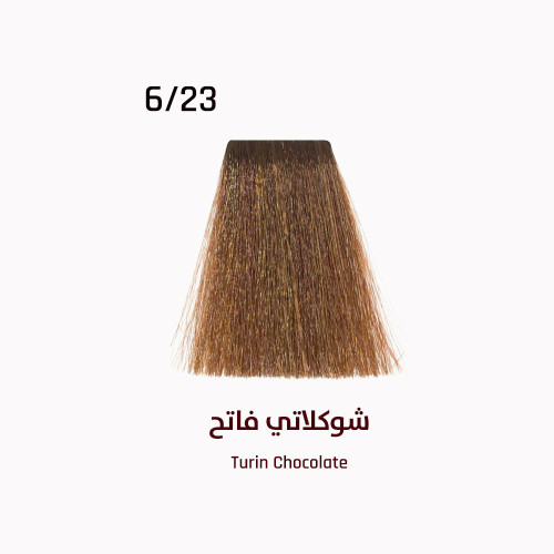 صبغة ايفر لاين شوكلاتي فاتح 6/23