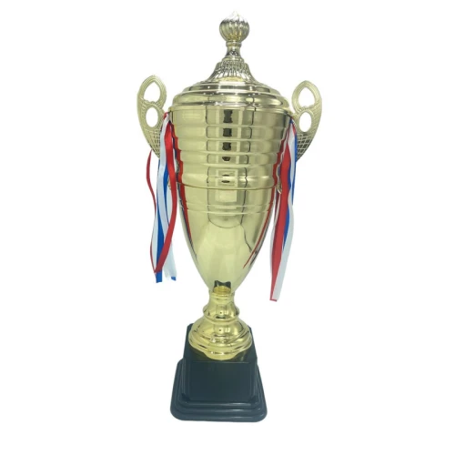 رايك كأس مميز مقاس 55 سم - ذهبي - CUP133