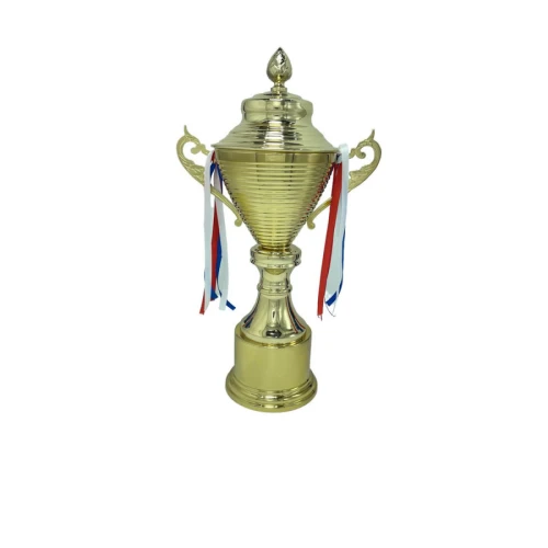 رايك كأس مميز مقاس 40 سم - ذهبي - CUP156