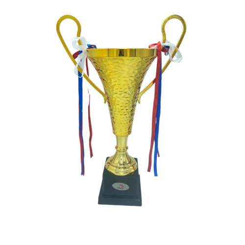 رايك كأس مميز مقاس 40 سم - ذهبي - CUP164