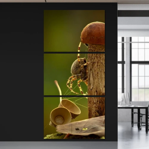 لوحة جدارية لعنكبوت لطيف - 3 قطع - 120x60 سم