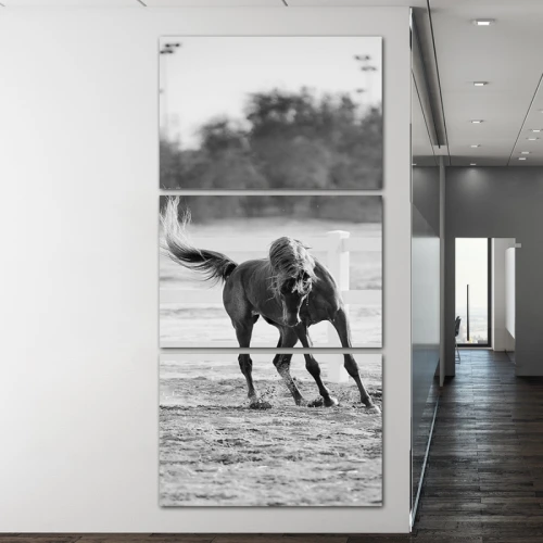 لوحة جدارية لحصان على الشاطئ - 3 قطع - 120x60 سم - رمادي