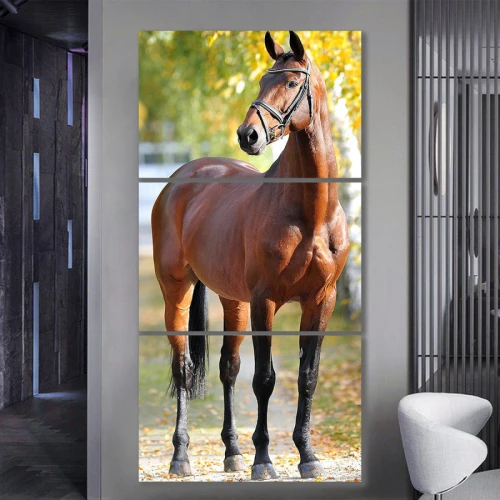 لوحة جدارية أنيقة لحصان بني - 3 قطع - 120x60 سم