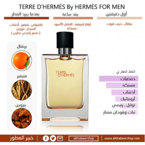 هيرميس تيري دي هيرميس اودي تواليت 100 مل