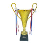 رايك كأس مميز مقاس 35 سم - ذهبي - CUP165